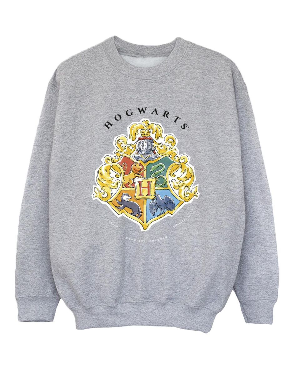 Harry Potter Boys Hogwarts School Emblem Sweatshirt - Sports Grey - 1