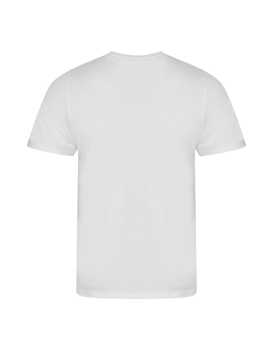Ecologie Mens Organic Cascades T-Shirt - Arctic White - 1