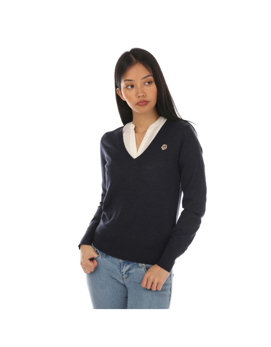 Women's Ted Baker Abiygal Merino Wool V Neck Sweater in Blue