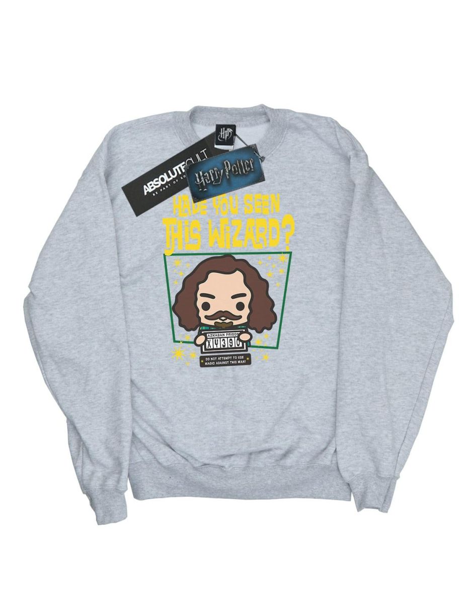 Harry Potter Girls Sirius Black Azkaban Junior Sweatshirt - Sports Grey