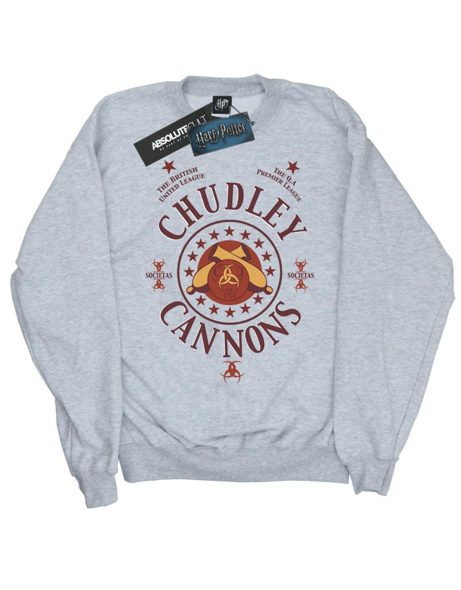 Harry Potter Boys Chudley Cannons Logo Sweatshirt - Sports Grey - 3
