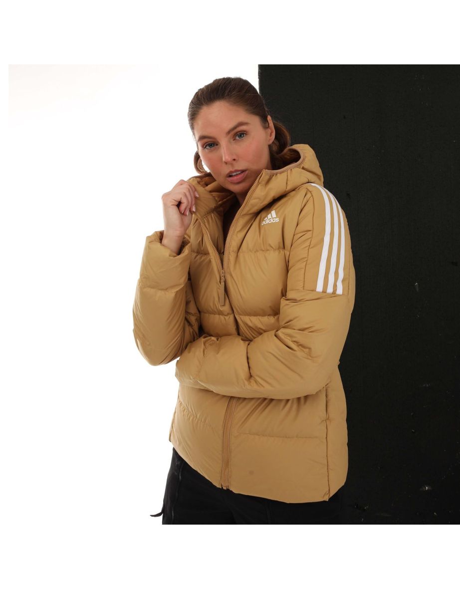 Women's adidas Essentials Down Hooded Jacket in Gold - 4