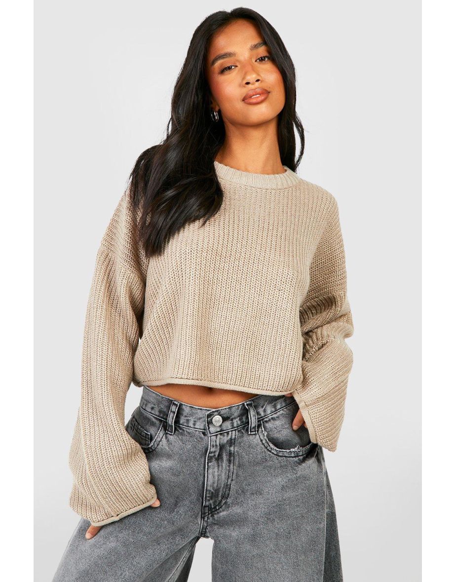 Petite Crew Neck Cropped Fisherman Jumper - mushroom - 3