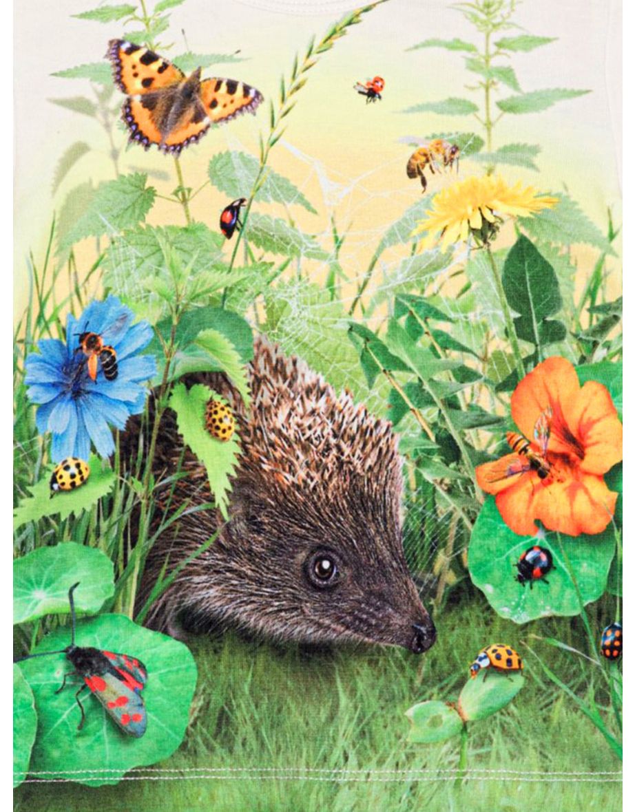 Baby Hedgehog T-Shirt in Multicolour - 2