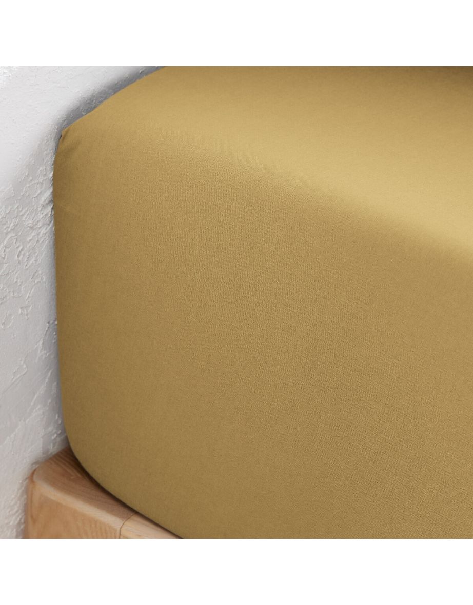 Scenario Plain 100% Organic Cotton Fitted Sheet - 2