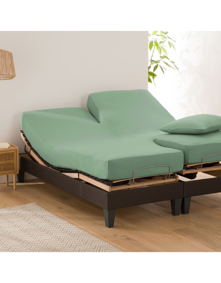 Scenario Plain 100% Organic Cotton Fitted Sheet for Articulated Bed